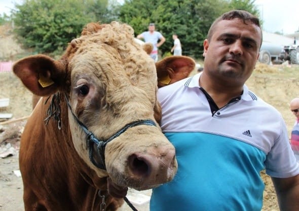 18-07/23/2-1532337828