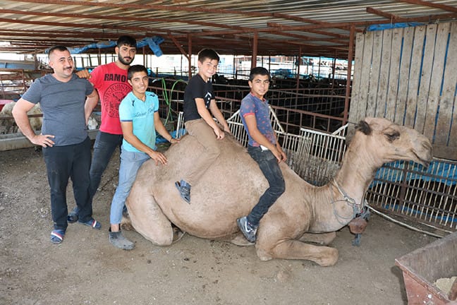 18-07/25/aw452171_01