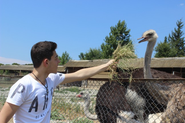 18-07/30/aw455845_06