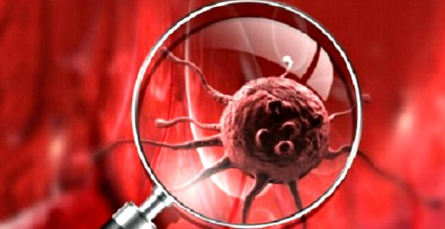 18-08/02/bati-tarzi-diyet