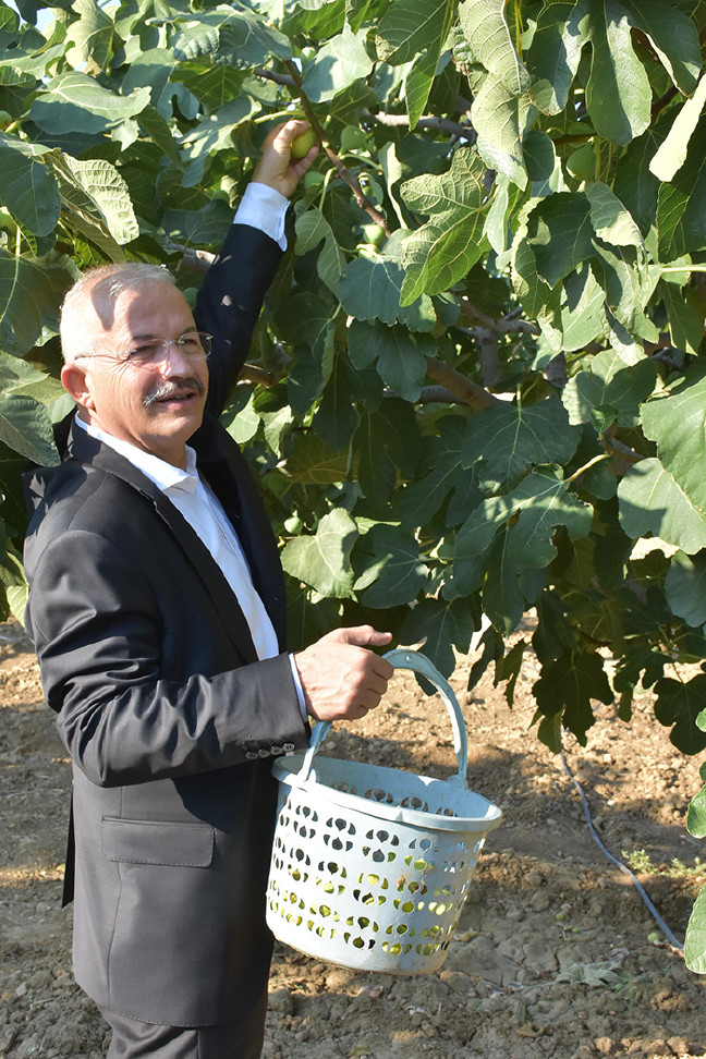 18-08/02/incir2-1533194503