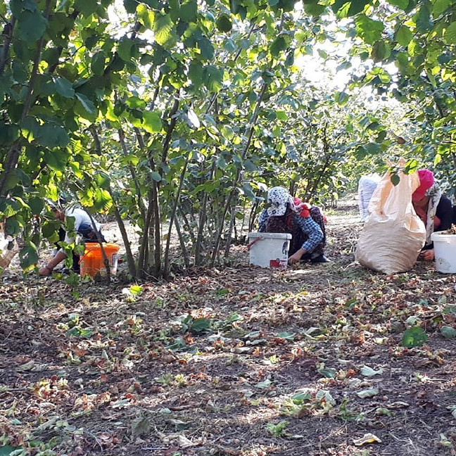 18-08/04/aw460358_04