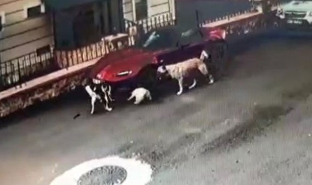 18-08/04/screenshot_4