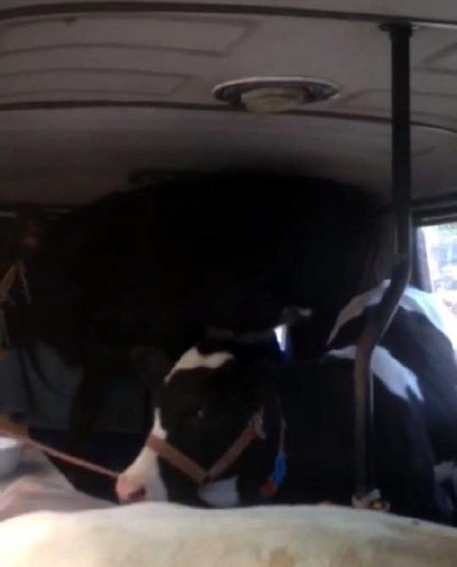 18-08/08/aw463169_01