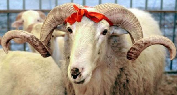 18-08/09/screenshot_2