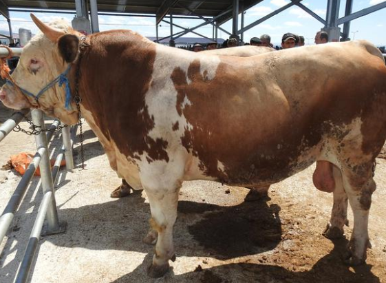 18-08/09/screenshot_3