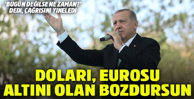 18-08/10/dl-1533917406