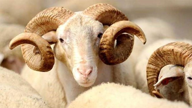 18-08/11/kurban-bayrami-tatili-kac-gun_16_9_1533788428