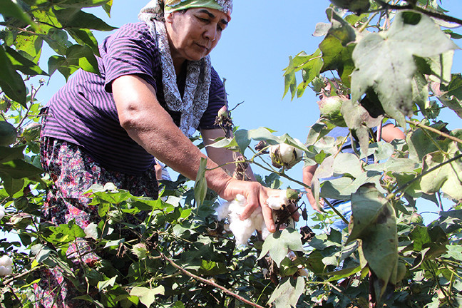 18-08/12/aw466514_01