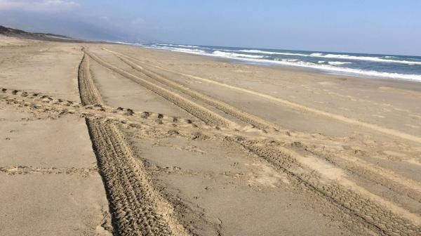 18-08/13/1-1534150320