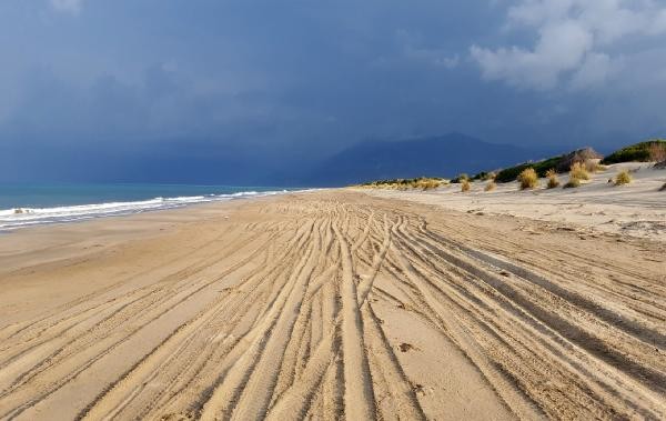 18-08/13/4-1534150264