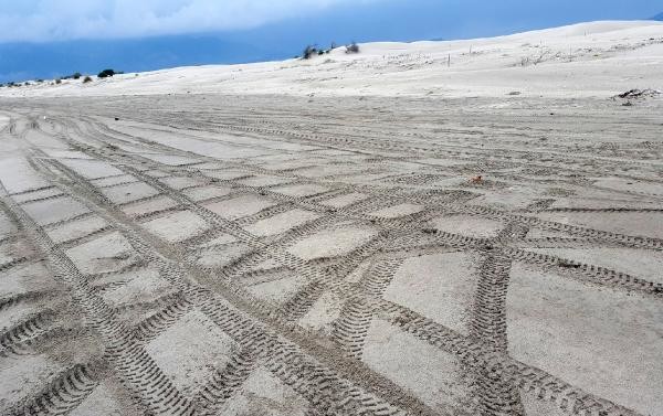 18-08/13/5-1534150231