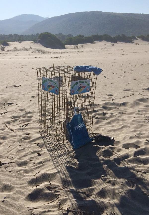 18-08/13/6-1534150304