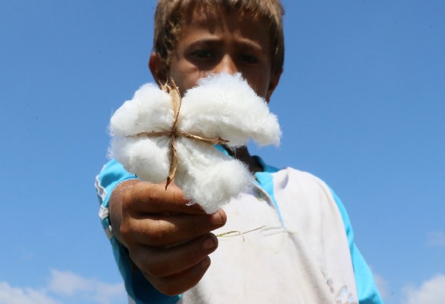 18-08/15/1-1534316744