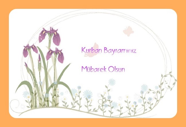 18-08/15/10-1534323669