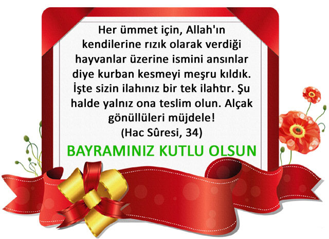 18-08/15/11-1534323673