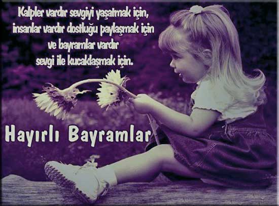 18-08/15/12-1534323677