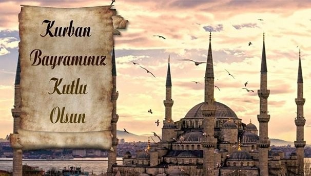 18-08/15/15-1534323730