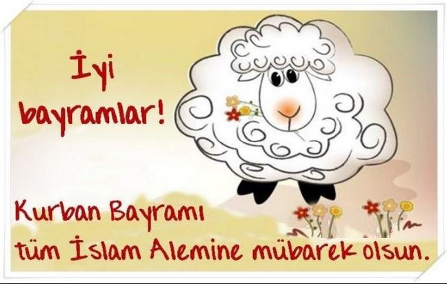 18-08/15/17-1534323738