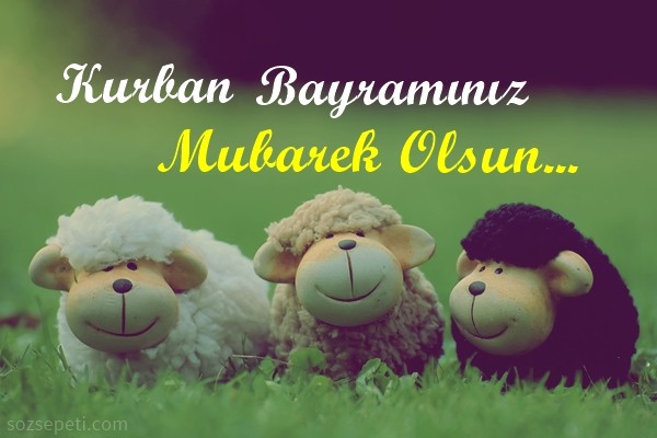 18-08/15/2-1534323620