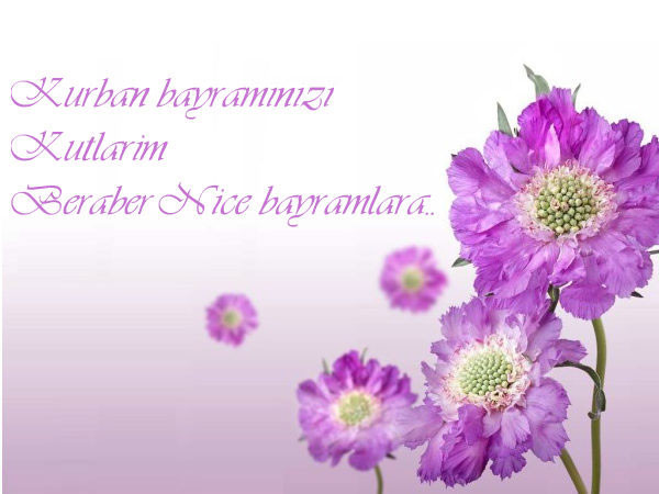 18-08/15/23-1534323774