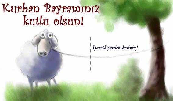 18-08/15/25-1534323464