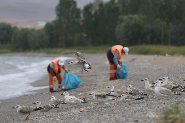 18-08/15/3-1534313269