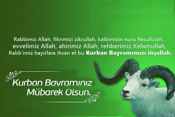 18-08/15/4-1534323630