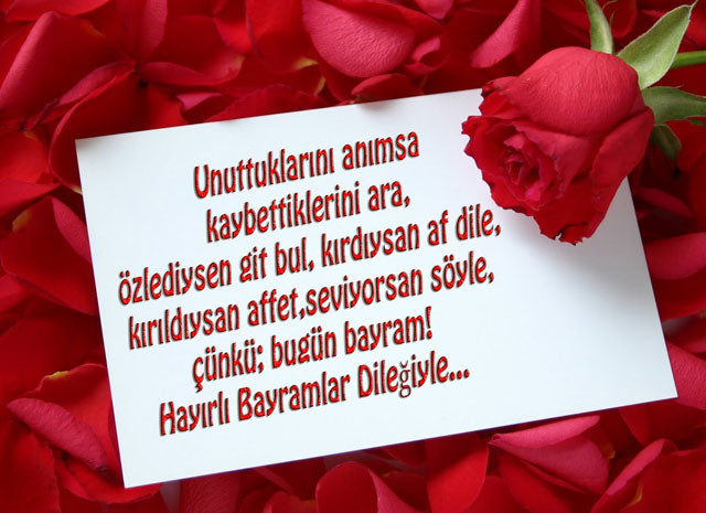 18-08/15/7-1534323645