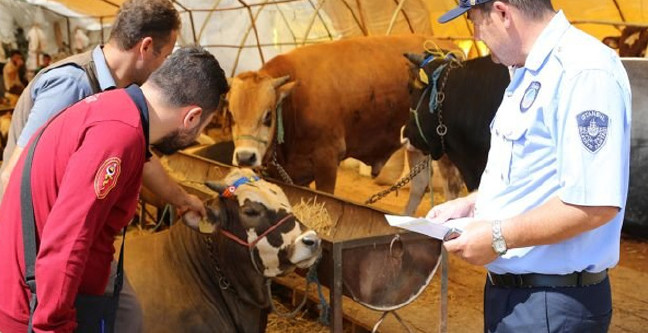 18-08/20/kurban-bayrami