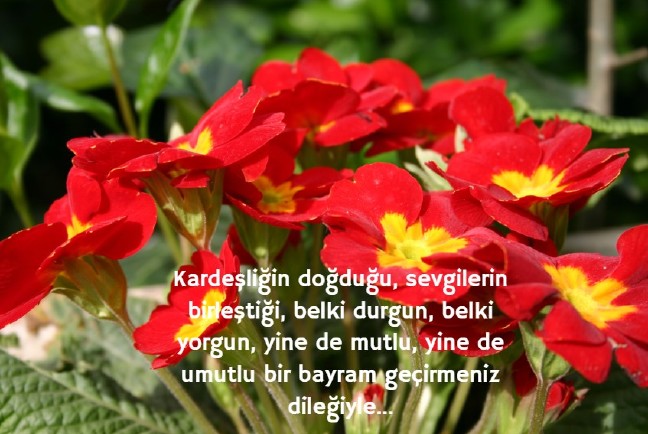 18-08/20/resimli-kurban-bayrami-mesajlari-2018-36