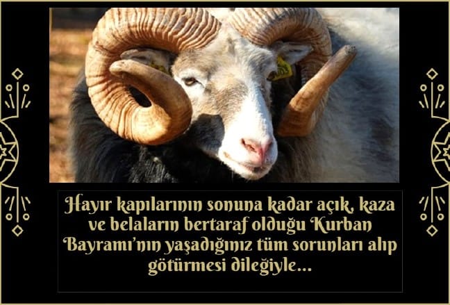 18-08/20/resimli-kurban-bayrami-mesajlari-2018-7-1534773050