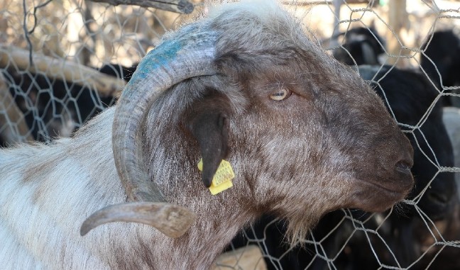 18-08/21/resized_26f2d-6e4e0ab8319292141