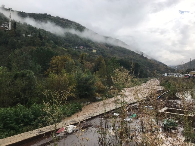 18-08/22/20180822_2_32037127_36606352