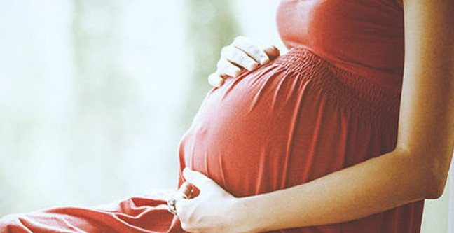 18-08/24/tasiyici-anne