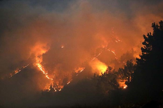 18-08/25/resimid_10320046