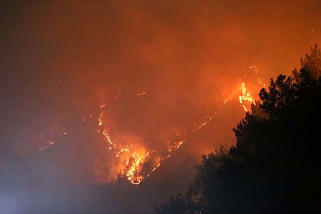 18-08/25/resimid_10320048