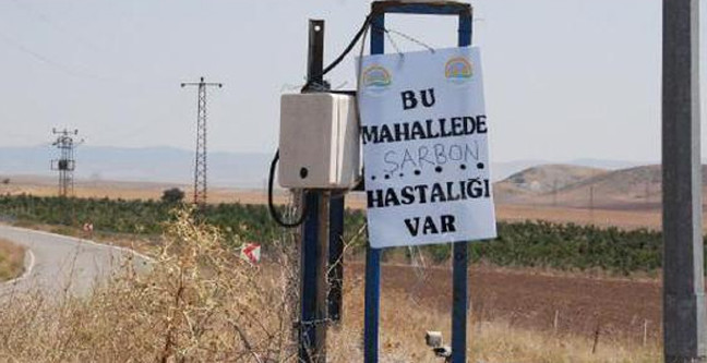 18-08/28/arbon-ankara