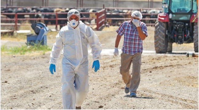 18-08/28/screenshot_3