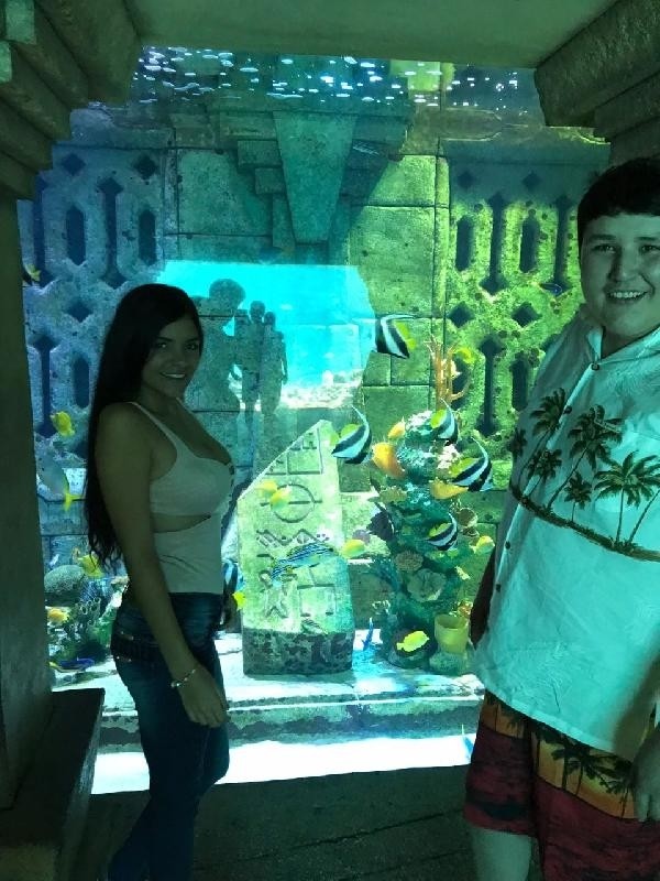 18-09/03/4c6d047469b9140e212d23b236cd4ac6-1535973514-1535973689