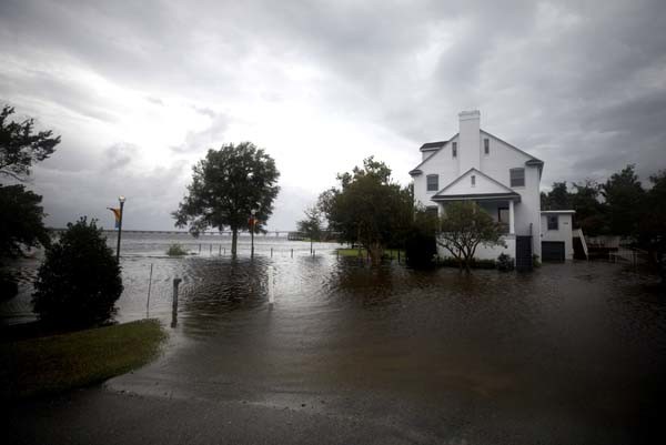 18-09/13/fft16_mf12325647