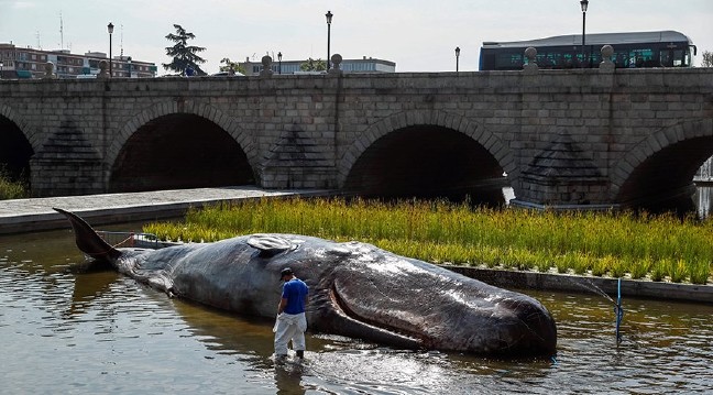 18-09/14/3-1536948694