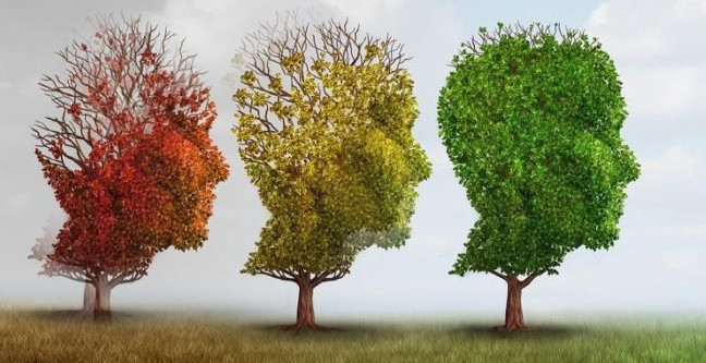 18-09/21/21-eylul-dunya-alzheimer-gunu