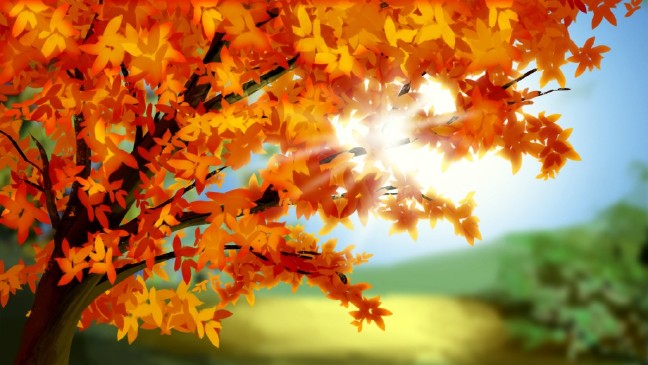 18-09/23/sonbahar-ekinoksu-2