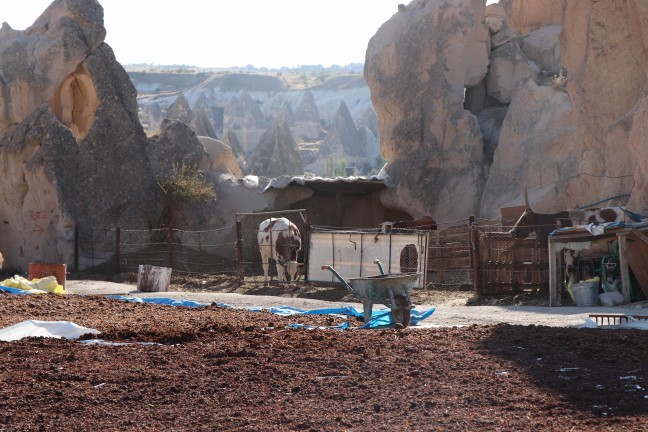 18-09/24/aw499229_04