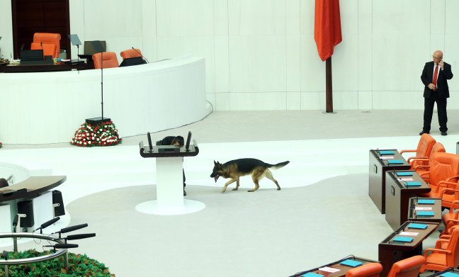 18-10/01/20181001_2_32633998_37693173