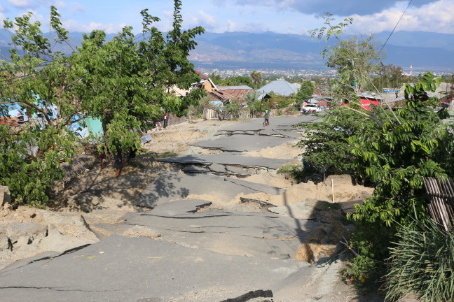 18-10/07/20181007_2_32738859_37875745