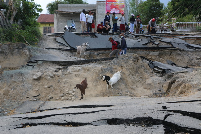 18-10/07/20181007_2_32738859_37875753