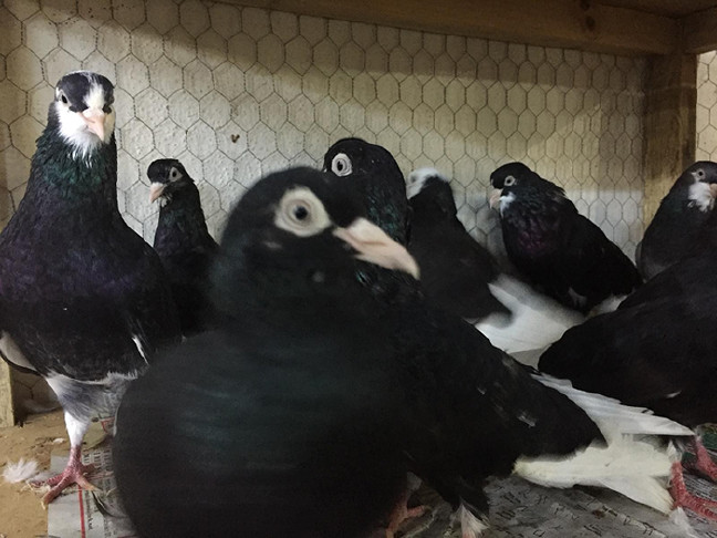 18-10/09/aw511977_01