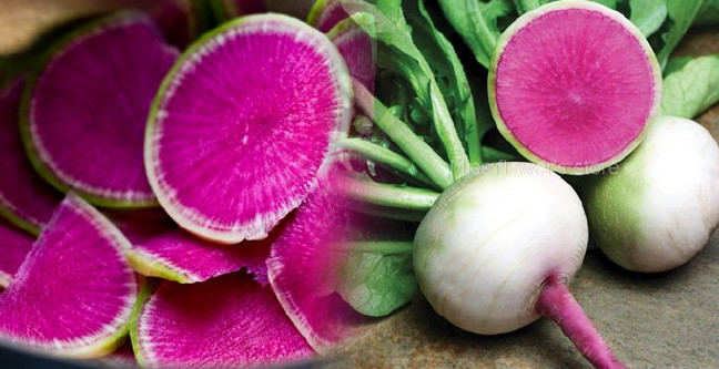 18-10/10/canan-karatay-kahvaltisi